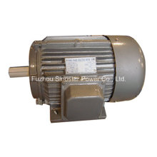 Y Series Three Phase Casting Iron Synchronous Electric Motor